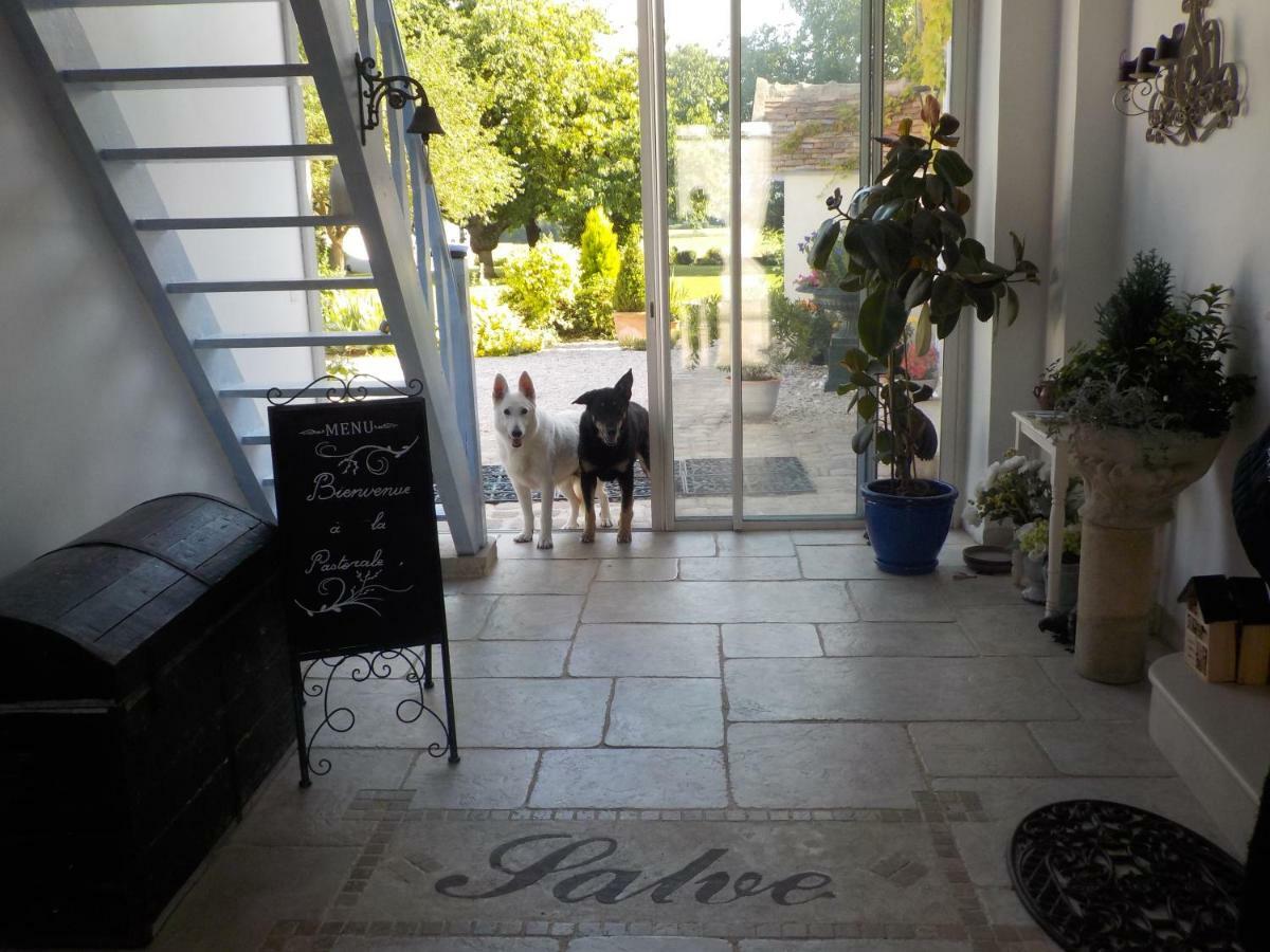 La Pastorale Bed and Breakfast Vinneuf Εξωτερικό φωτογραφία